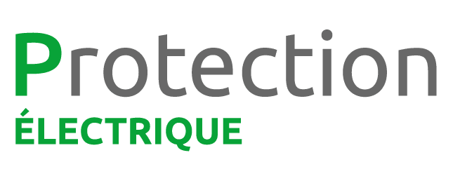 Protection logo_Plan de travail 1