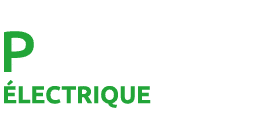 Protection_Plan de travail 1 Logo